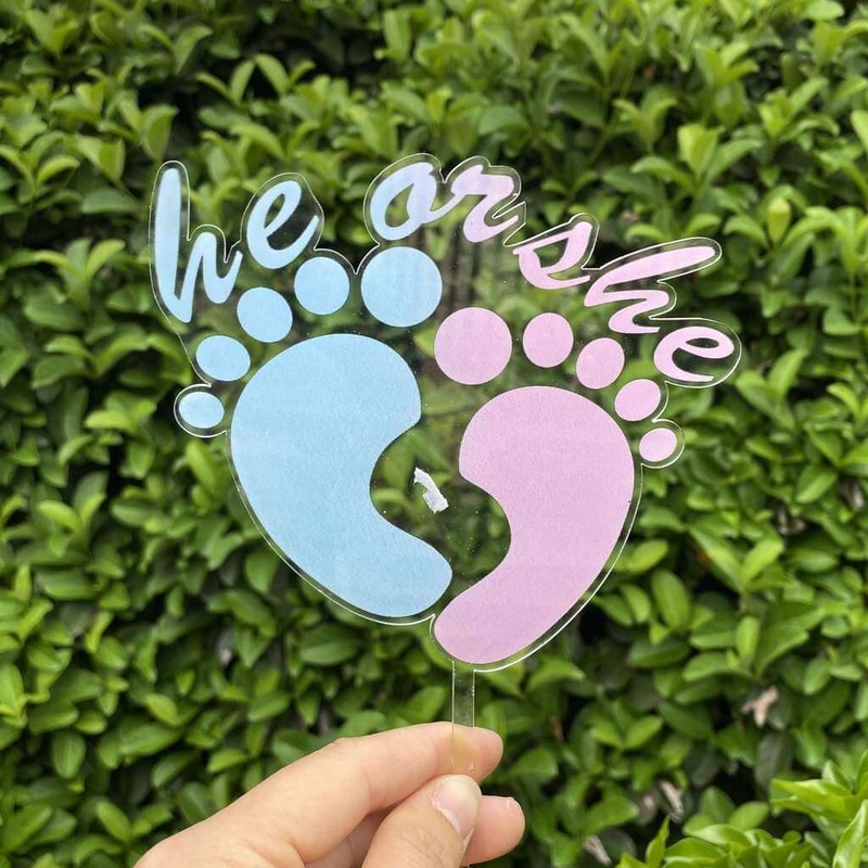 Acrylic Pink & Blue He or She Feet Cake Topper