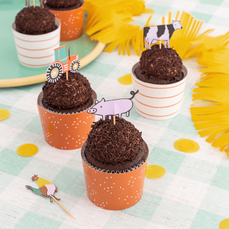 On the Farm Party Cupcake Decorating Set