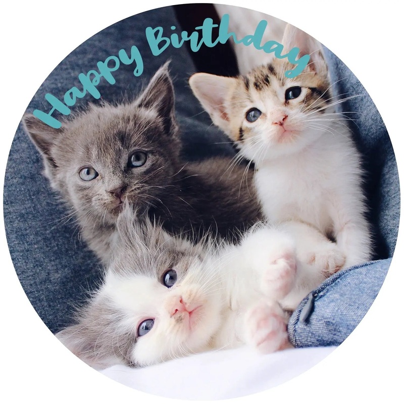 Kitten Edible Cake Image