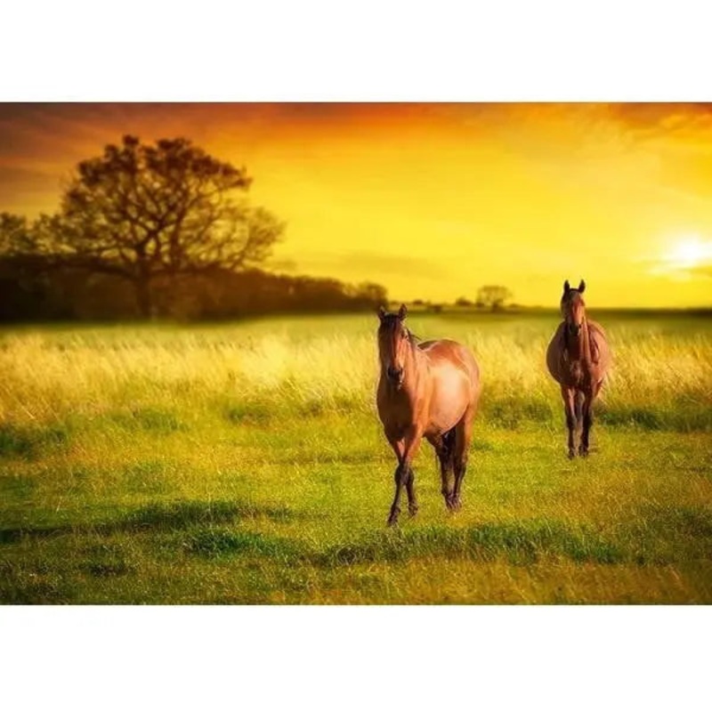 Wild Horses Edible Cake Image - A4 Size