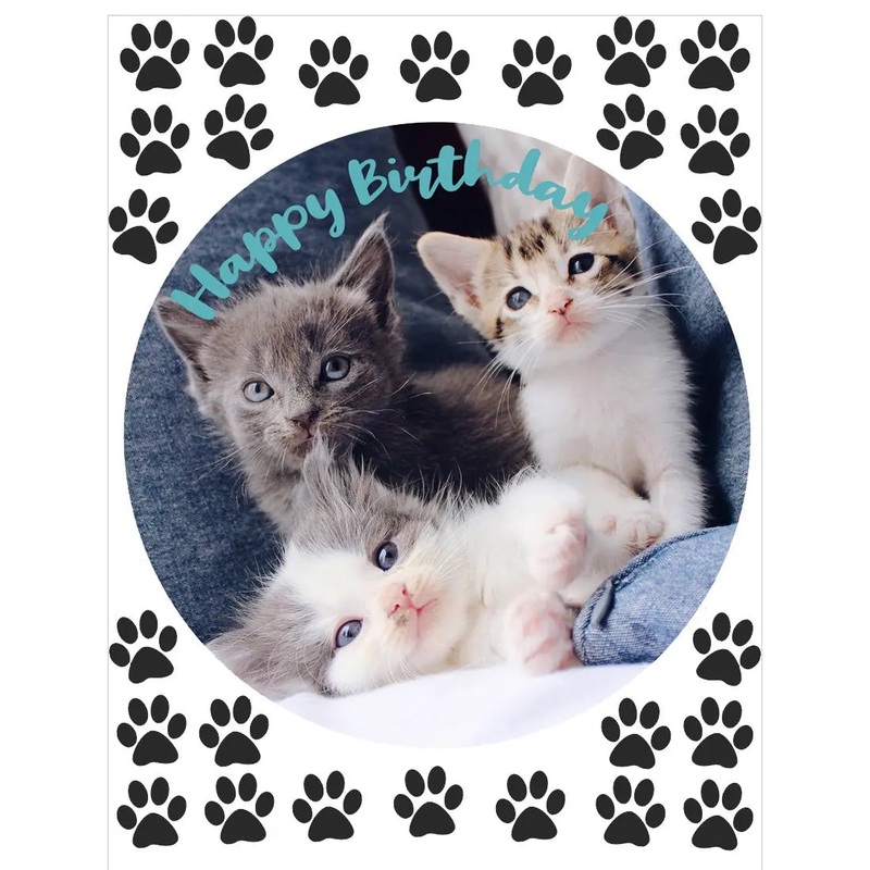 Kitten Edible Cake Image with FREE Edible Icons