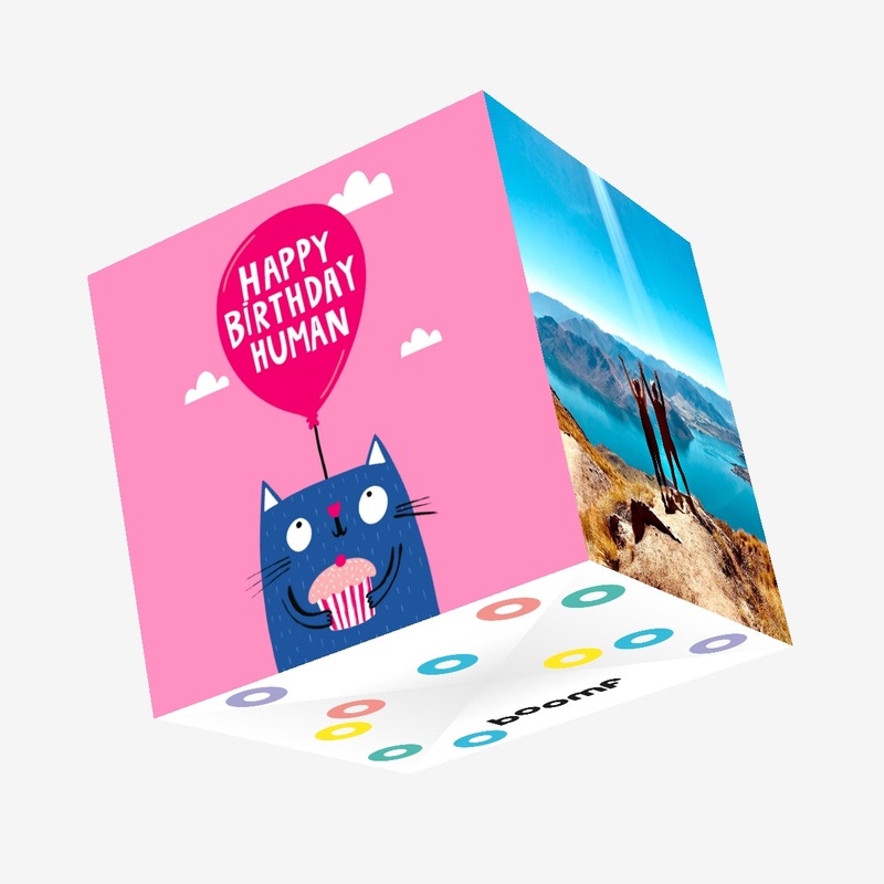 Cat And Little Cupcake Birthday Confetti-exploding Greetings Card