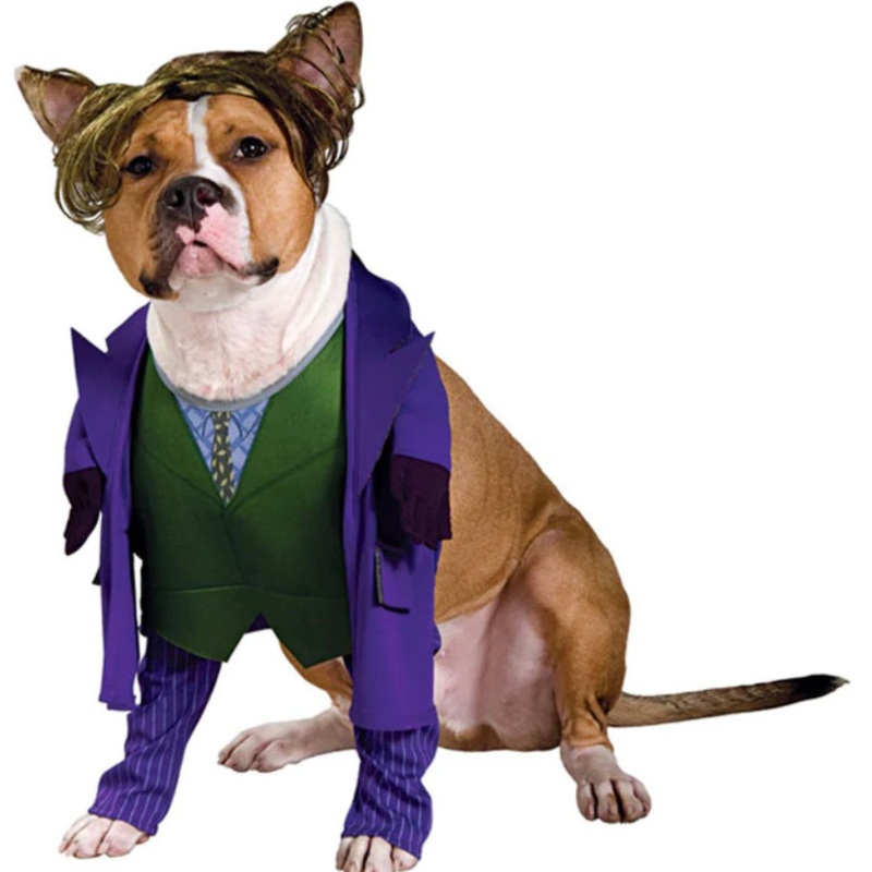 The dark knight the joker large dog costume
