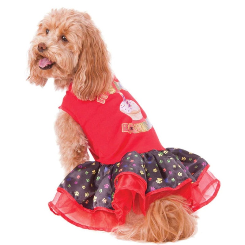 Barkday dog costume
