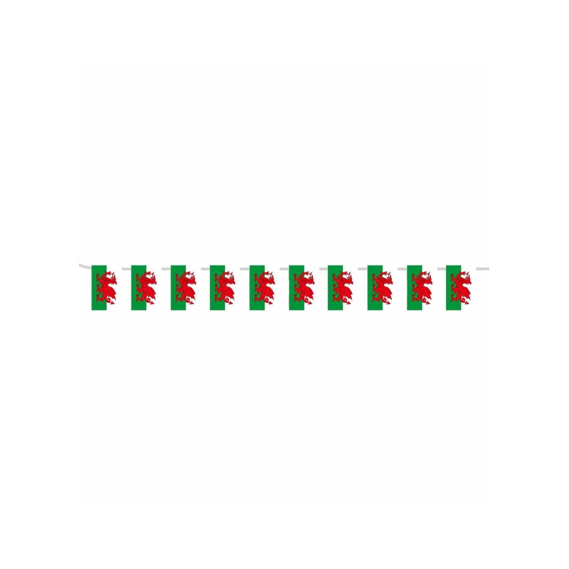 Welsh Flag Bunting 5m