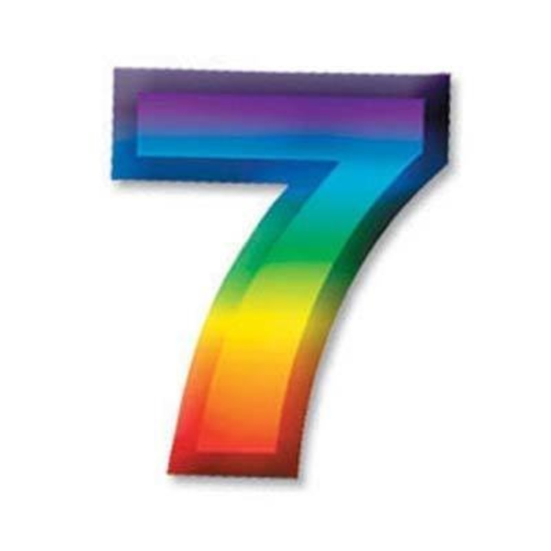 Chiffre De Plastique 11" #7