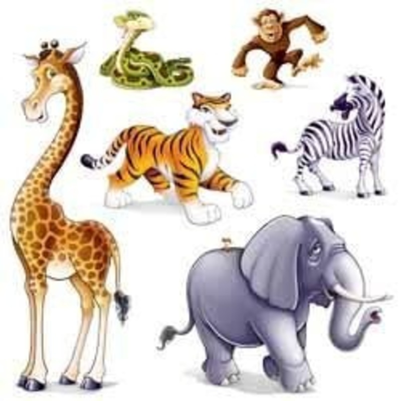 Accessoires (6)  - Animaux De La Jungle