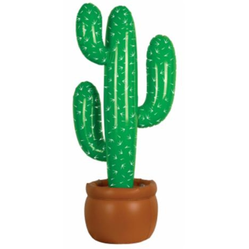 Cactus Gonflable 38Po