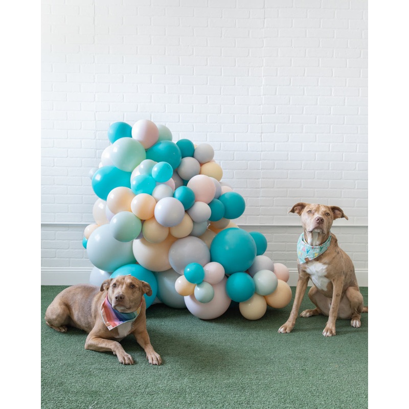 Can You Dig It - Organic Balloon Cluster - 3ft