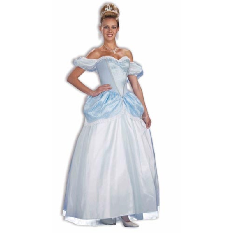 StoryBook Princess Adult Costume