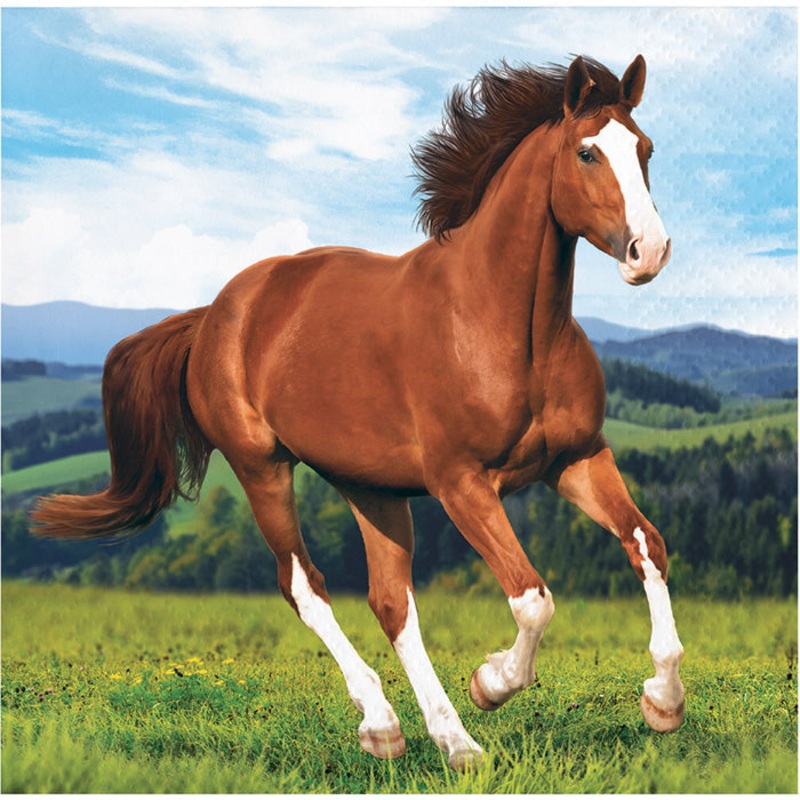 192 pc Bulk Horse and Pony Beverage Napkins