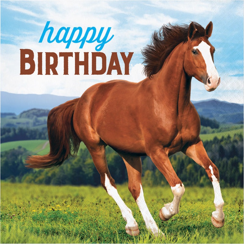 192 pc Bulk Horse and Pony Happy Birthday Luncheon Napkins