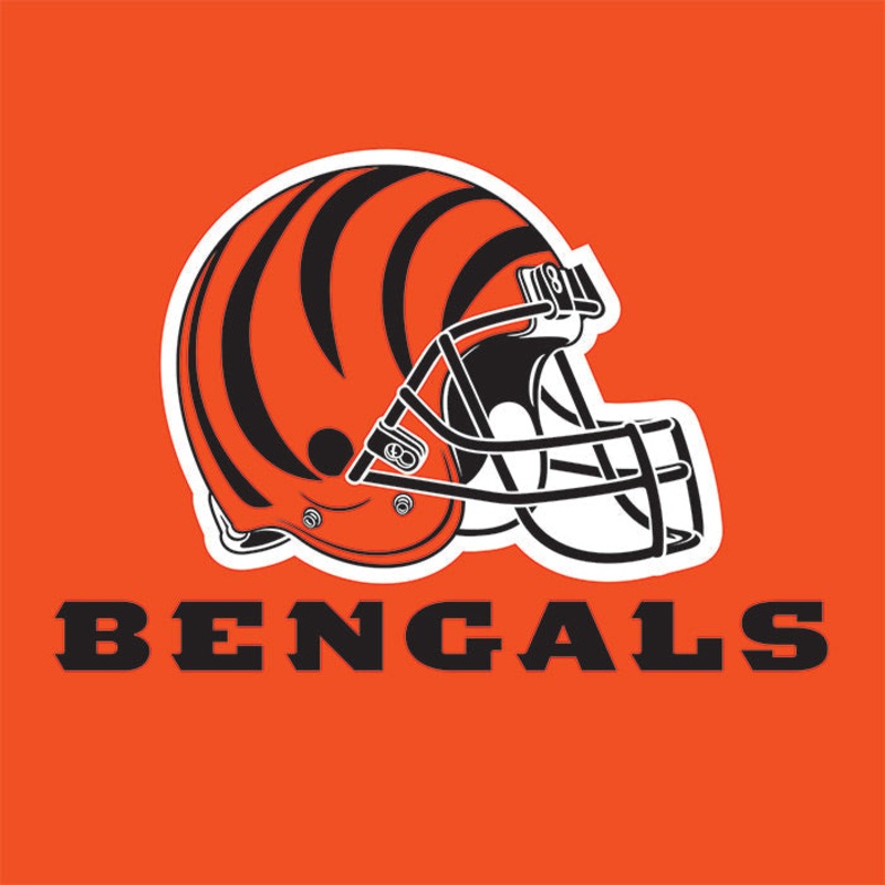 192 pc Bulk Cincinnati Bengals Luncheon Napkins