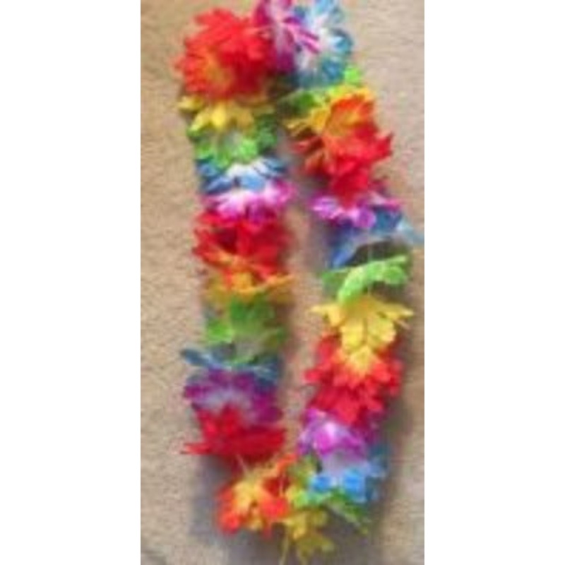 Tropical 2-Tone Rainbow Hawaiian Lei