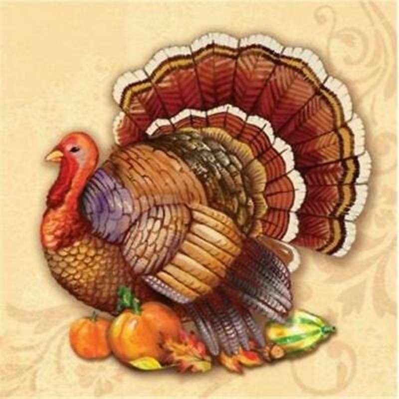 Thanksgiving Splendor Beverage Napkins
