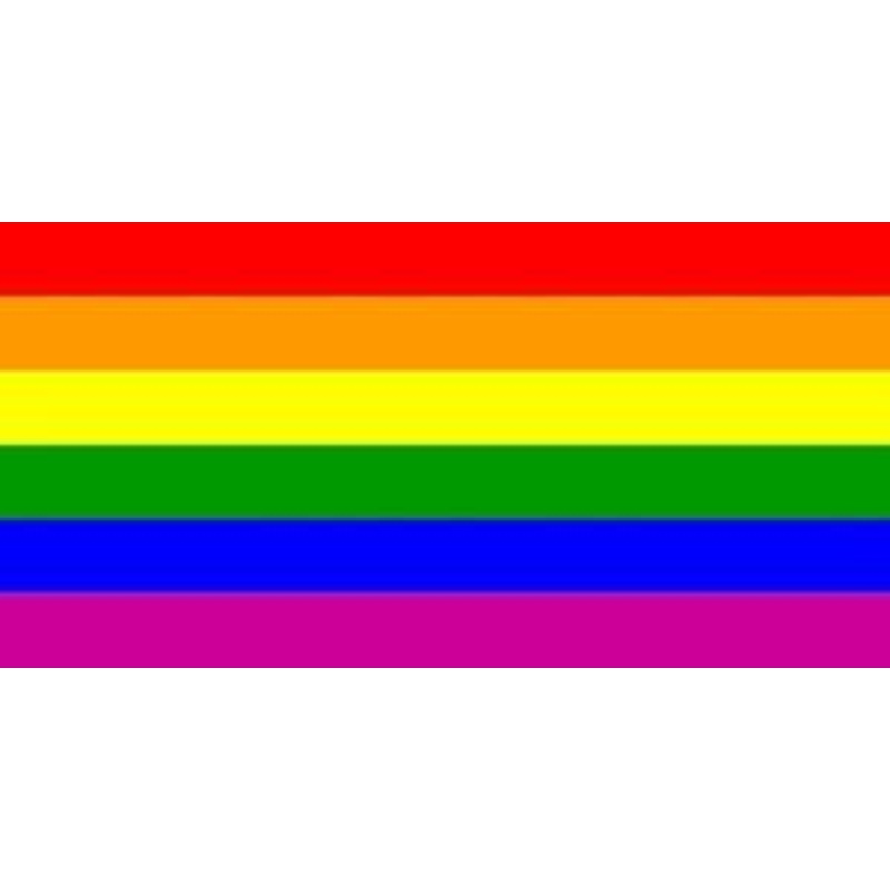 Rainbow Flag Cloth Hand Waver