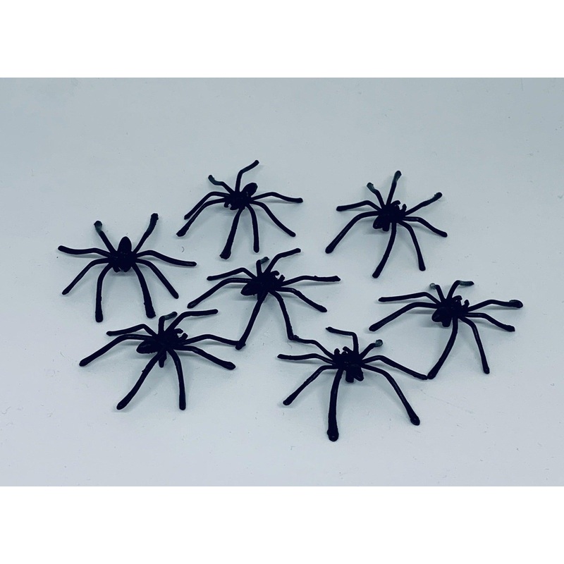 Small Black Spiders