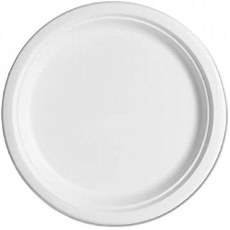 Round (Enviroboard) Paper Snack Plates 10