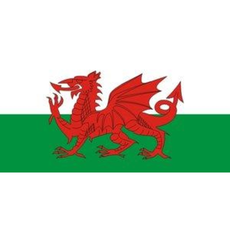 Welsh Flag Cloth Hand Waver