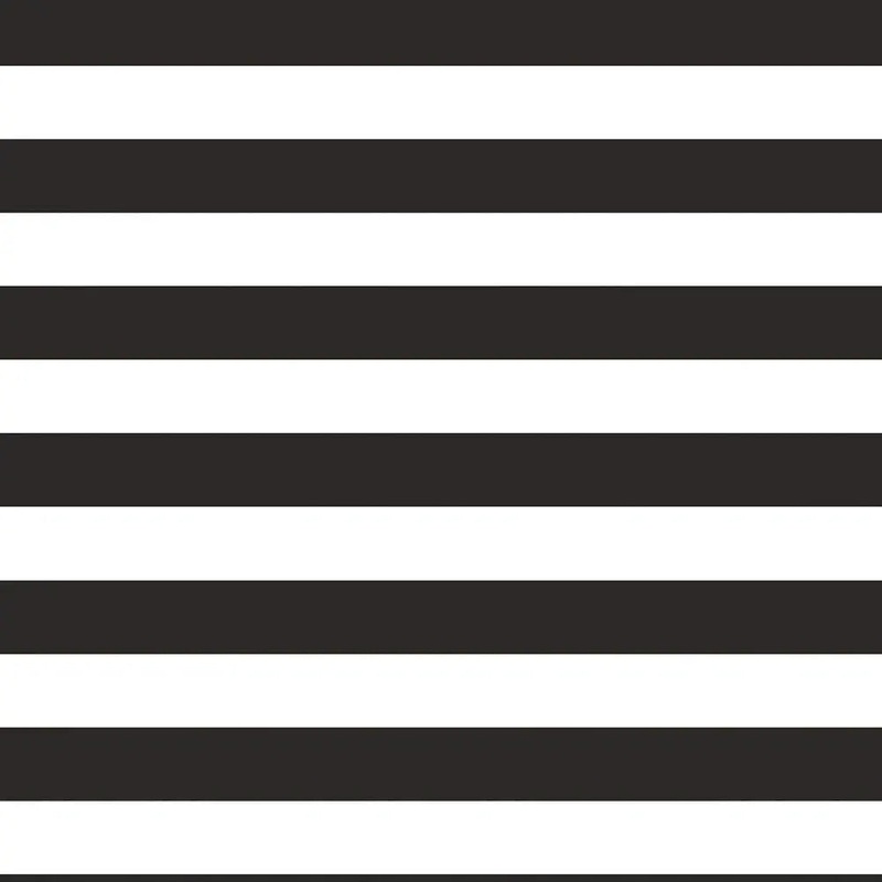 Black & White Striped Photo Backdrop