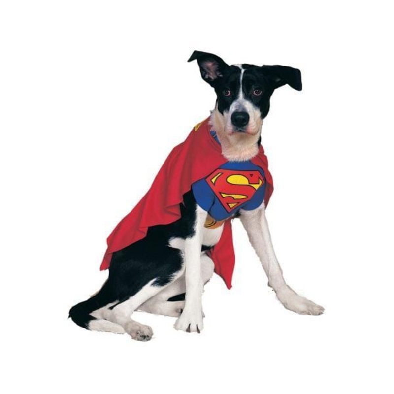 Superman Costume for Dogs