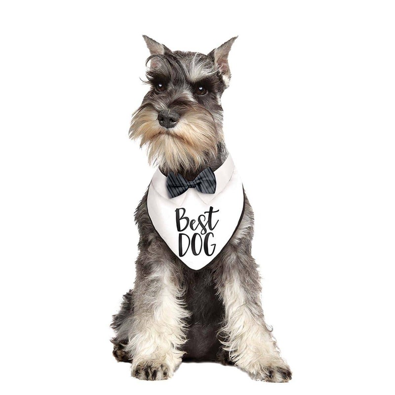 Wedding Bandana - Best Dog