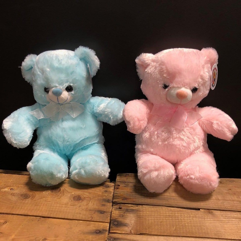 Bear Plush 12 In. Asst.