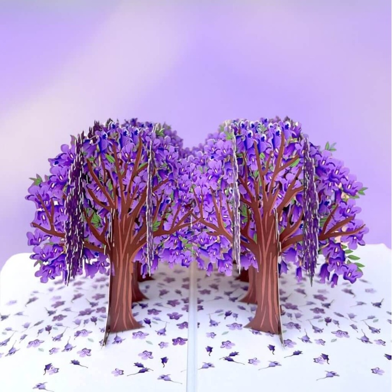 Breathtaking Purple Jacaranda Blossom Park Pop Card