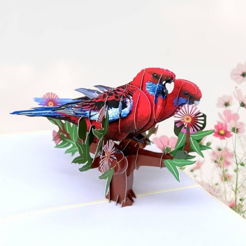 Australian Crimson Rosella Parrot Couple 3D Pop Card