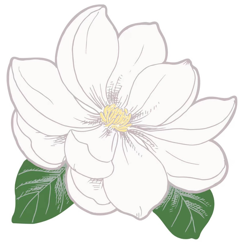 White Magnolia Flower Placemats 8pk