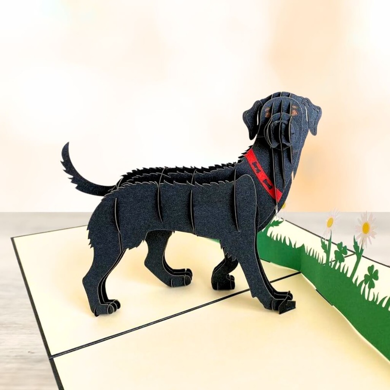 Black Labrador Dog in Daisy Garden 3D Pop Card