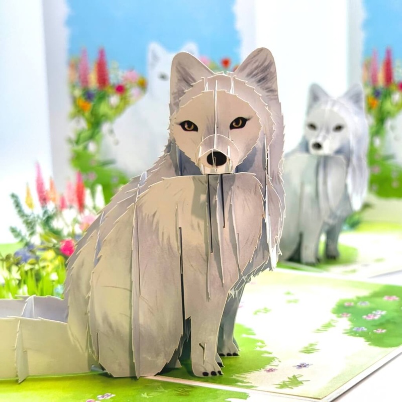 White Fox in Spring Flower Fields Pop Card