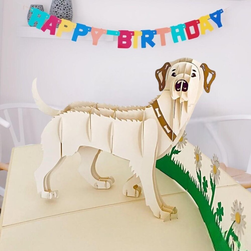White Labrador Dog in Daisy Garden 3D Pop Card