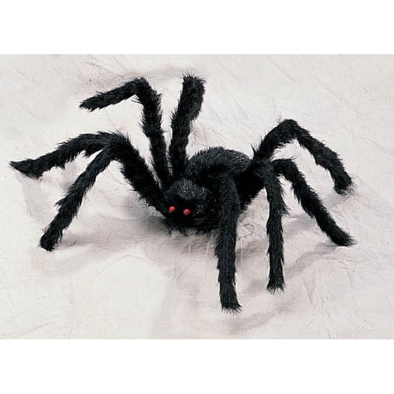 Black Hairy Spider - Small