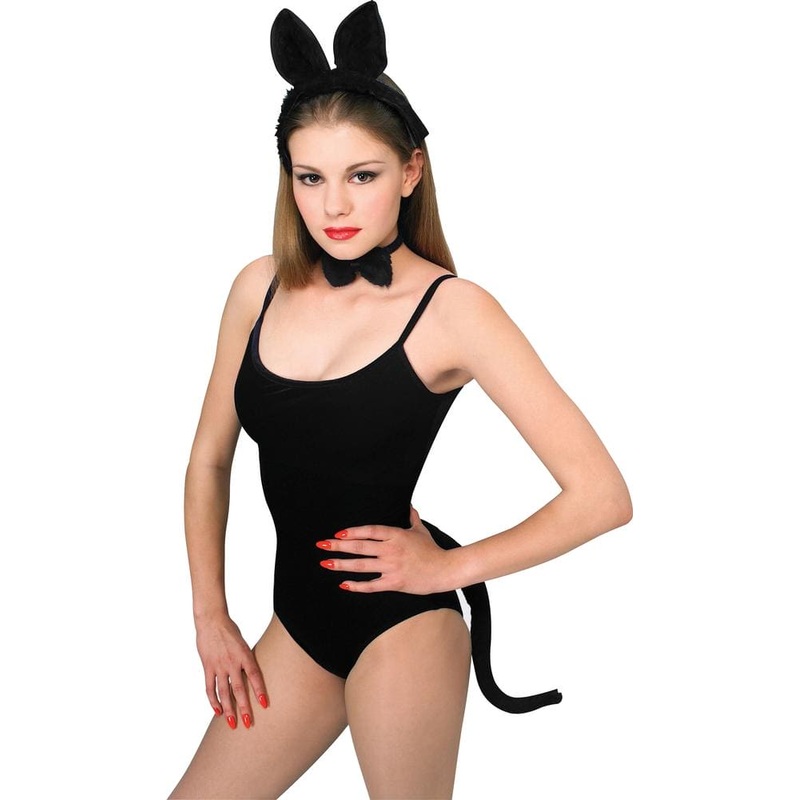 Cat Accessory Kit