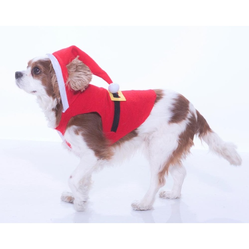 Santa Suit Pet Costume