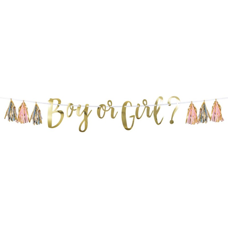 "Boy Or Girl?" Pink, Blue & Gold Tassle Banner