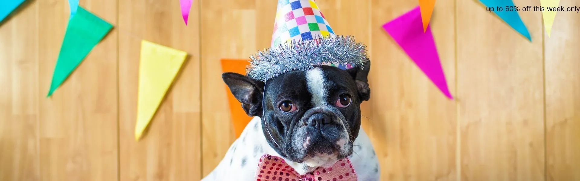 Complete Party Decorations for Every Celebration